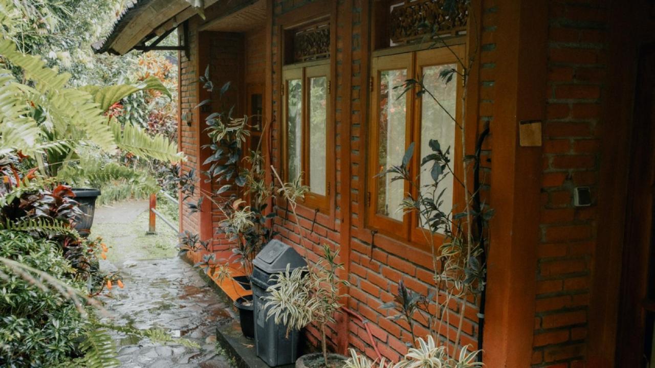 Puri Sunny Guesthouse Munduk  Exterior photo